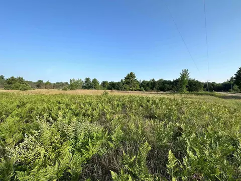 W 14, Mesick, MI 49668