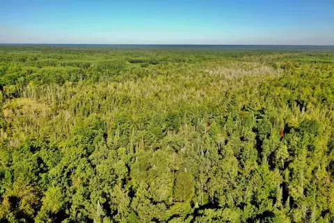 N 29, Manton, MI 49663