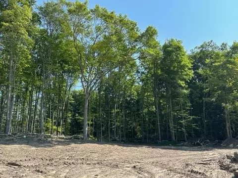 00 16, Mesick, MI 49668