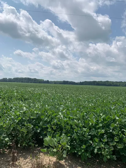 Tbd 90th, Evart, MI 49631