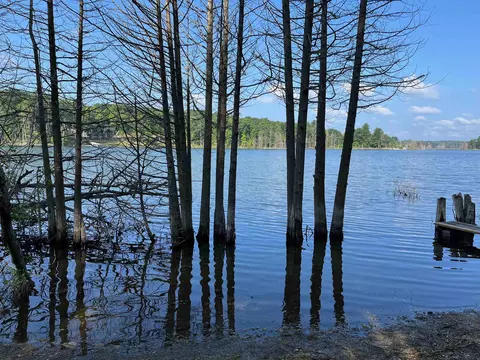 Parcel A Gray Heirs, Lake Ann, MI 49650