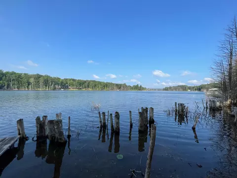 Parcel B Gray Heirs, Lake Ann, MI 49650