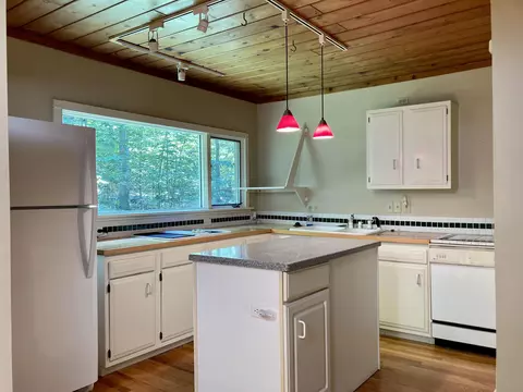 6131 S Lime Lk, Cedar, MI 49621 photo 2
