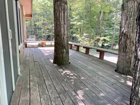 6131 S Lime Lk, Cedar, MI 49621 photo 14