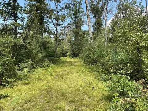 16624 Poder, Marion, MI 49665 photo 12