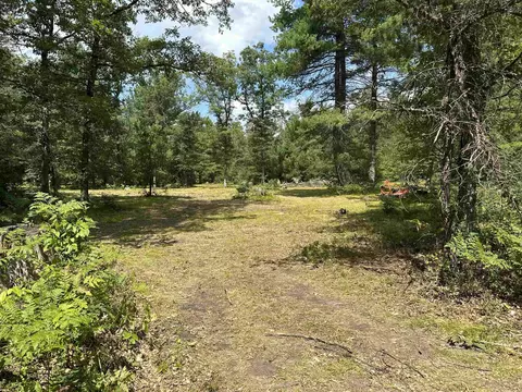 16624 Poder, Marion, MI 49665 photo 2