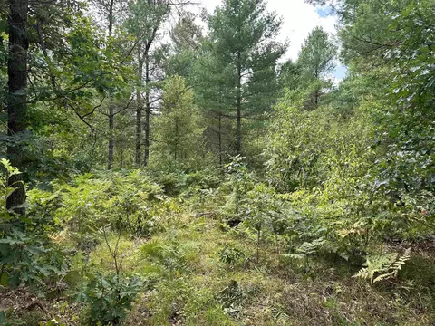 16624 Poder, Marion, MI 49665 photo 6