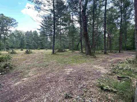 16624 Poder, Marion, MI 49665 photo 5