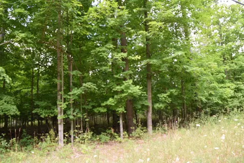 00 Rahe # -B, Kingsley, MI 49649