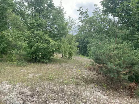 Parcel 16 Trail 33, Mancelona, MI 49659