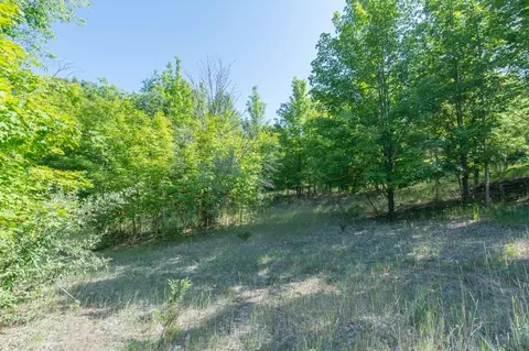 11 West Hlavka Road, Maple City, MI 49664