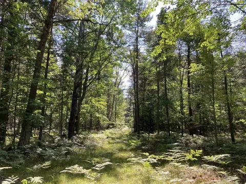 N/a Perry Holt, West Branch, MI 48661