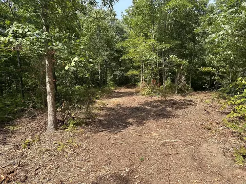 Betsie River, Interlochen, MI 49643 photo 8