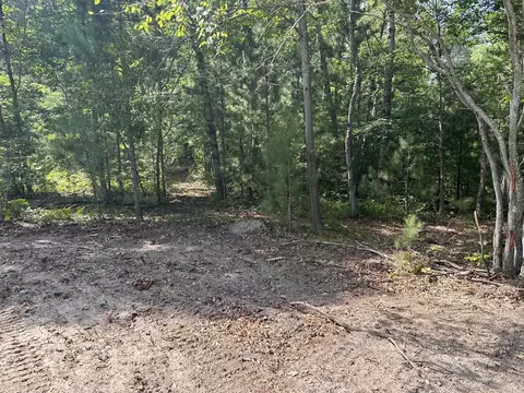 Betsie River, Interlochen, MI 49643 photo 11