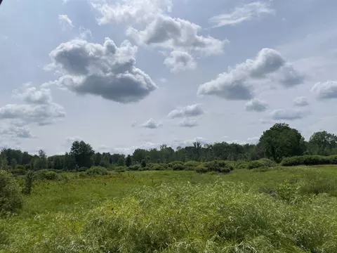 Tbd S Meridian, Mount Pleasant, MI 48858