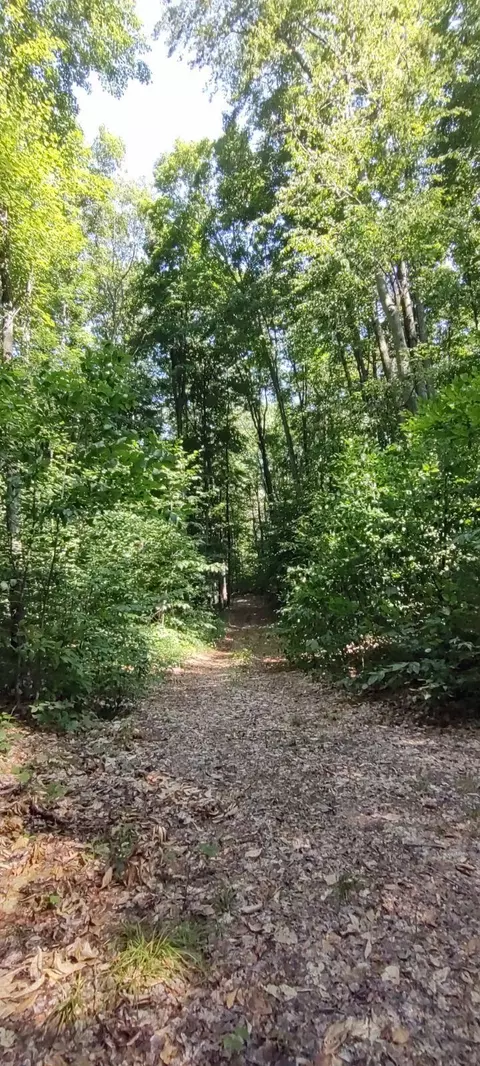 Vl Trail 21 Lan Smith Lake, Mancelona, MI 49659