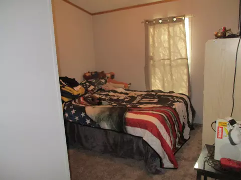 891 N 885 N Warner, Sumner, MI 48889 photo 6