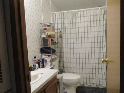 891 N 885 N Warner, Sumner, MI 48889 photo 5