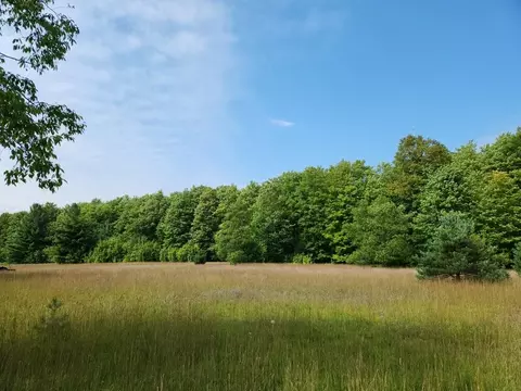 Off Crawford Lake, Kalkaska, MI 49646