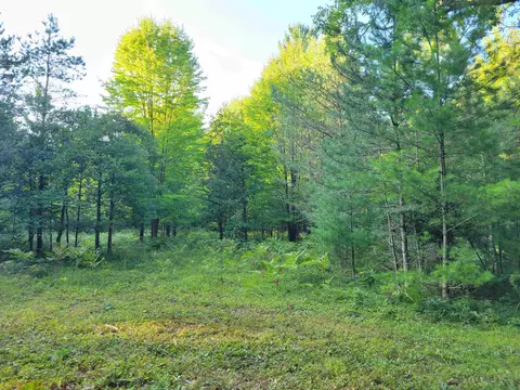 812 N Coleman, Shepherd, MI 48883 photo 9