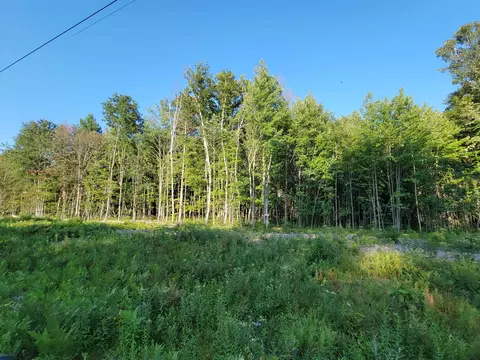 812 N Coleman, Shepherd, MI 48883