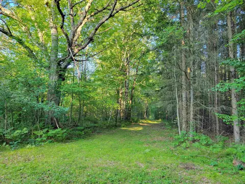 812 N Coleman, Shepherd, MI 48883 photo 8