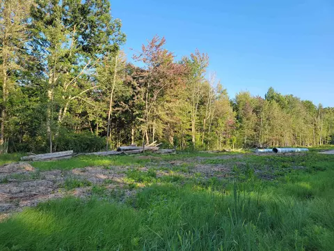 812 N Coleman, Shepherd, MI 48883 photo 7