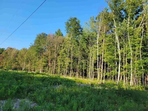 812 N Coleman, Shepherd, MI 48883 photo 5
