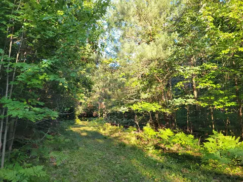 812 N Coleman, Shepherd, MI 48883 photo 12