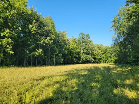 N Coleman, Shepherd, MI 48883 photo 6