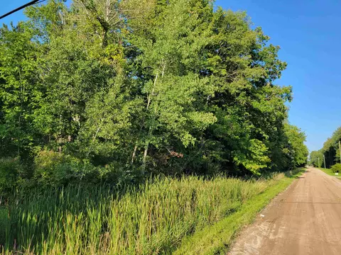 N Coleman, Shepherd, MI 48883 photo 10