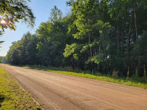 N Coleman, Shepherd, MI 48883 photo 8
