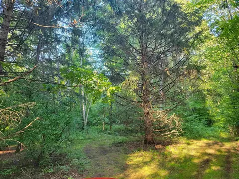 N Coleman, Shepherd, MI 48883 photo 3