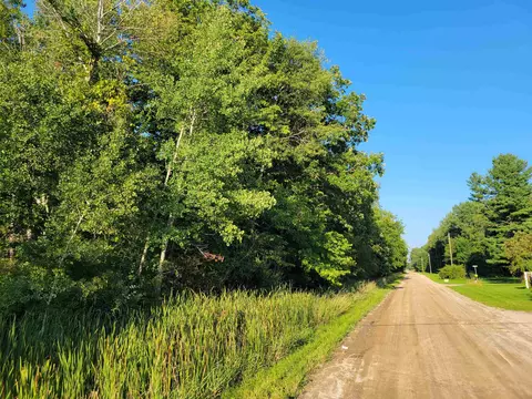 N Coleman, Shepherd, MI 48883 photo 11