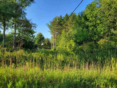 N Coleman, Shepherd, MI 48883 photo 9