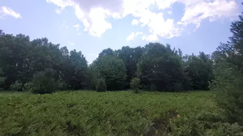 Parcel D Lund, Fife Lake, MI 49633