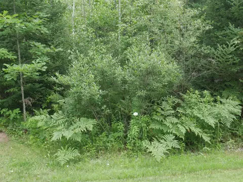 2964 Maple, Hale, MI 48739 photo 3