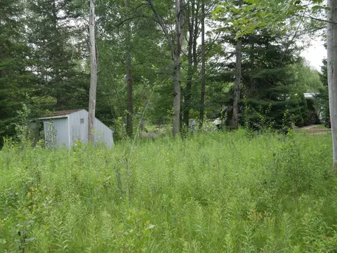 2964 Maple, Hale, MI 48739 photo 4