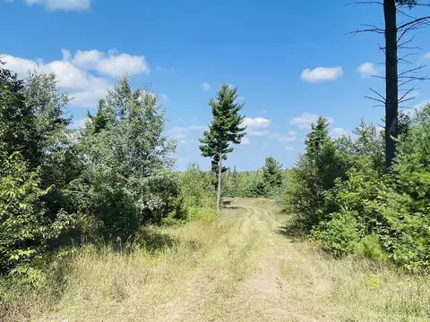 E 10 1/2, Manton, MI 49663 photo 3