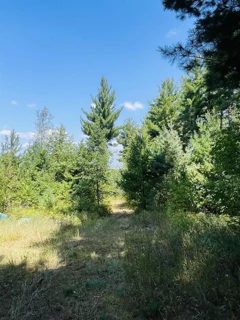 E 10 1/2, Manton, MI 49663 photo 4