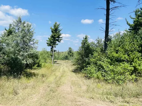 E 10 1/2, Manton, MI 49663 photo 7