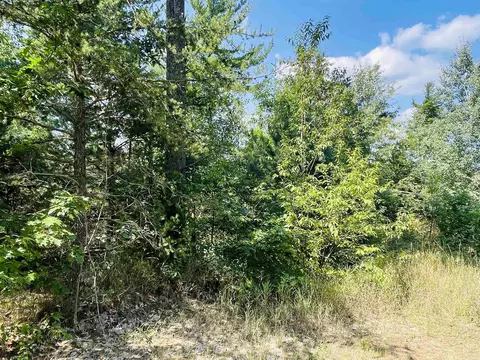 E 10 1/2, Manton, MI 49663 photo 8