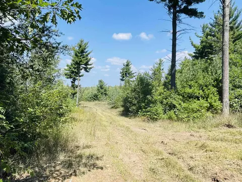 E 10 1/2, Manton, MI 49663 photo 5