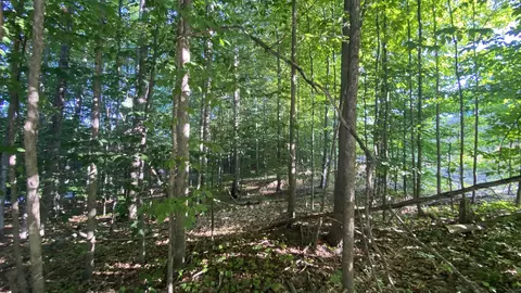 lot 61 east village LOT : 61, Bellaire, MI 49615