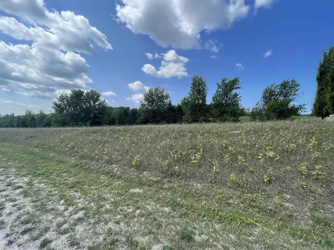 Lot 20 S Cedarview, Cedar, MI 49621 photo 7