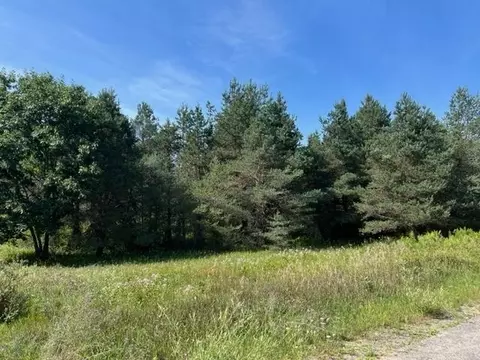 V/l 00 S Manistee, Lake City, MI 49651