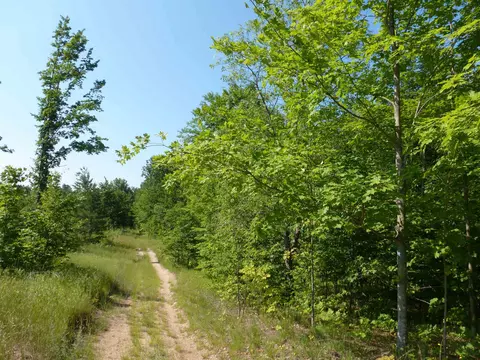 000 Summit, Kalkaska, MI 49646