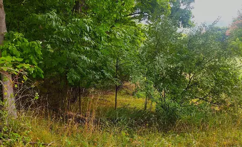 00 W Cayuga, Bellaire, MI 49615
