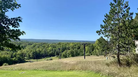 5828 Shanty Crk #442, Bellaire, MI 49615