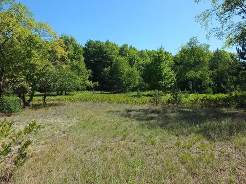 Parcel Eden, Thompsonville, MI 49683